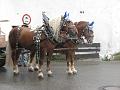 2007-07 allemagne 022